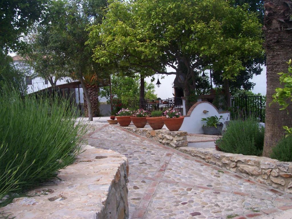 Casa De Abajo Villa Prado Del Rey Dış mekan fotoğraf