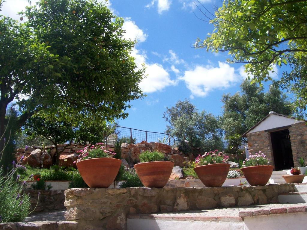 Casa De Abajo Villa Prado Del Rey Dış mekan fotoğraf