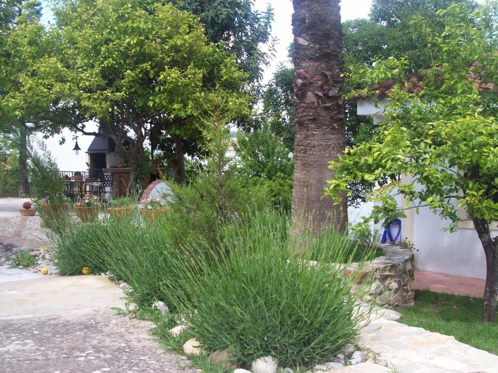 Casa De Abajo Villa Prado Del Rey Dış mekan fotoğraf