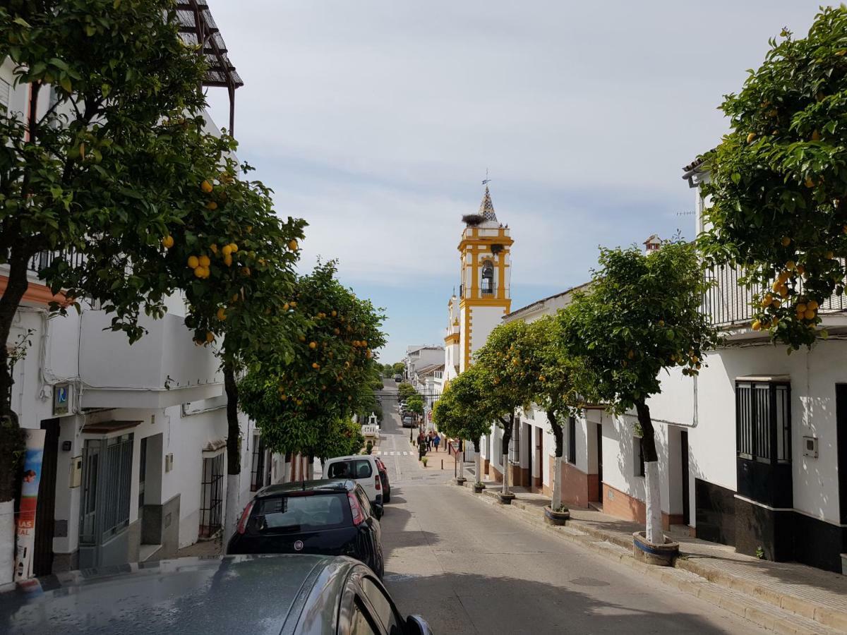 Casa De Abajo Villa Prado Del Rey Dış mekan fotoğraf
