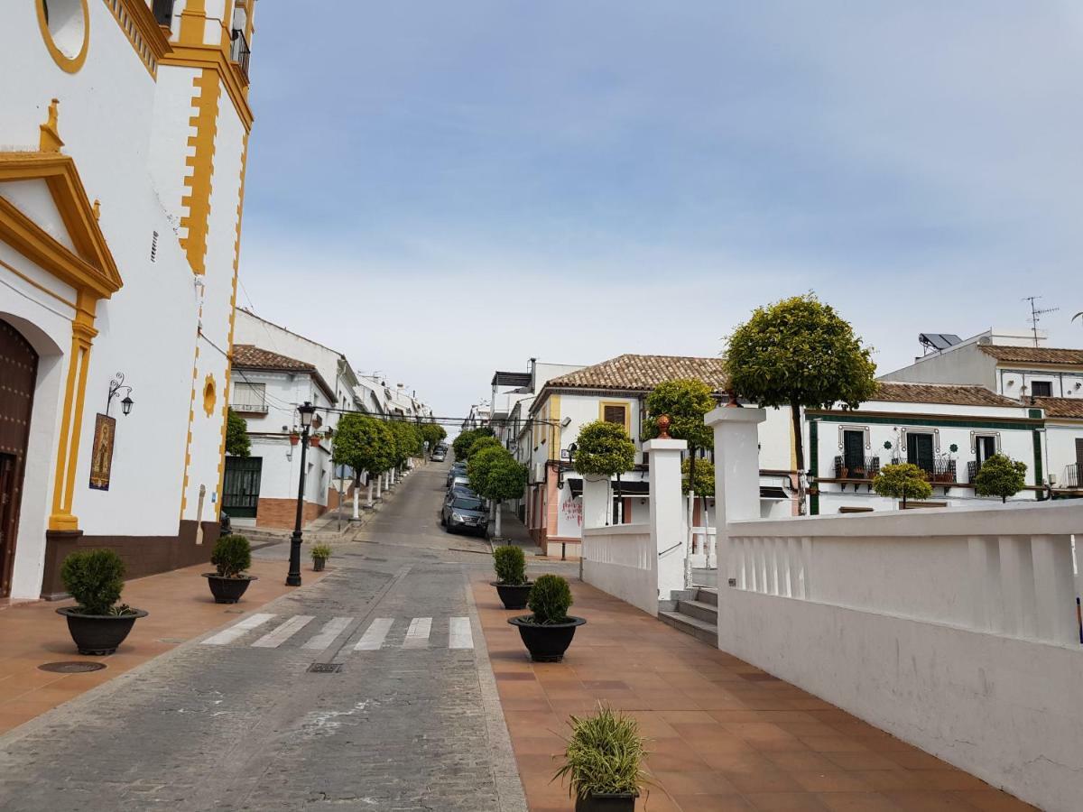 Casa De Abajo Villa Prado Del Rey Dış mekan fotoğraf